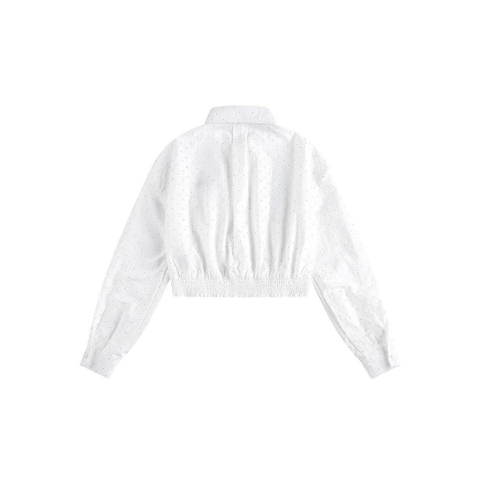Zwoyren Cropped Striped Shirt
