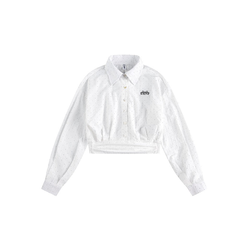 Zwoyren Cropped Striped Shirt